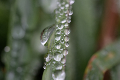 5日大乐透开奖结果揭晓，幸运号码震撼出炉
