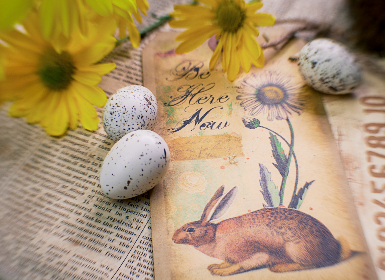 深入解析贝博足彩的赔率机制与风险管理策略