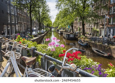 5月24日双色球开奖号码公布，彩民热议大奖花落谁家