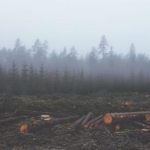 5月11日双色球开奖号码公布,彩民期待大奖花落谁家 u1s61a9soz