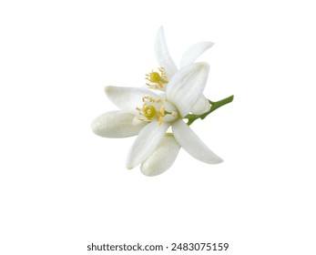 深入解析瑞博平台的优势与用户体验