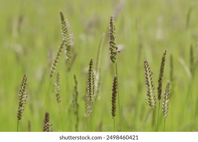 5月20号双色球开奖号码及中奖结果查询