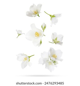 深入解析蓝宝石平台的技术架构与功能特点 深入解析蓝宝石平台的技术架构与功能特点